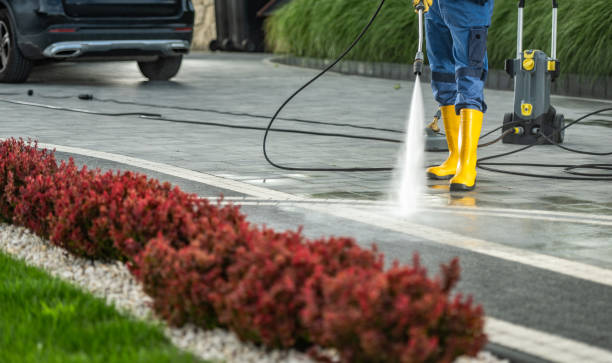 Best Sidewalk and Walkway Cleaning  in Mendota, IL